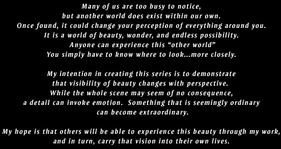 Many of us are too busy to notice, but another world does exist within our own. Once found, it could change your perception of everything around you. 
It is a world of beauty, wonder, and endless possibility. 
Anyone can experience this other world
You simply have to know where to look...more closely. 

My intention in creating this series is to demonstrate 
that visibility of beauty changes with perspective.  
While the whole scene may seem of no consequence, 
a detail can invoke emotion.  Something that is seemingly ordinary 
can become extraordinary.

My hope is that others will be able to experience this beauty through my work, 
and in turn, carry that vision into their own lives. 